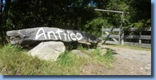 Antilco written on trunk at the entrance of the horse riding ranch.